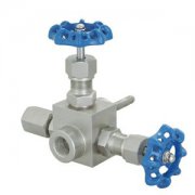  J13W-内螺(luo)紋針型(xíng)閥