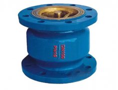  消聲止(zhǐ)回閥