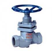  U11SFM内螺(luo)紋柱塞(sāi)閥