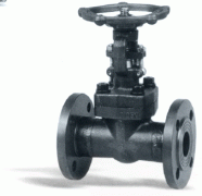  鍛(duàn)鋼法蘭端(duan)閘閥